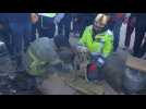 Turkey: Dog found alive in Kahramanmaras rubble after earthquake