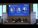 Two Americans and a Dane win chemistry Nobel