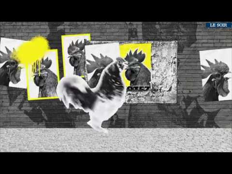 Les coups de coeur du MAD