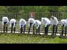Leaders walk through mangrove on the final day of G20