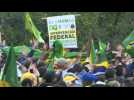 Bolsonaro supporters gather in Sao Paulo to call for military intervention
