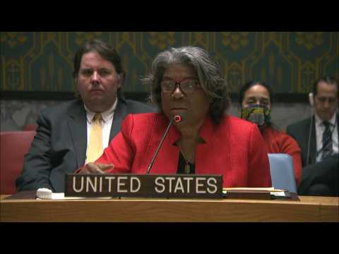 US envoy to UN rejects Russia claim of 'military-biological activities' in Ukraine