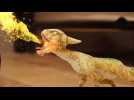 Ghostwriter : le secret de la plume - Bande annonce 1 - VO