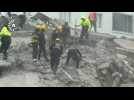 Turkish rescuers scramble to find quake survivors