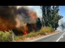 Chile's forest fires leave at least 9 injured and more than 100 houses affected