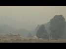 Cloud of smoke engulfs fields as deadly Chile forest fires continue