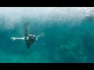 STILL THE WATER | UK Trailer - in cinemas July 3rd