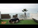 Yoga Pigeon Pose by XF