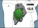Study reveals HIV could naturally evolve into milder form