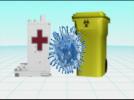 Drug-resistant ‘super bacteria’ found in Rio de Janeiro Olympic waters