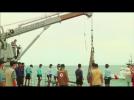 AirAsia flight 8501 tail section found as divers struggle to locate black boxes