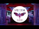 Spector on the story behind 'All The Sad Young Men' - Gigwise Interview