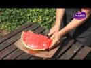 How to cut watermelon into cubes DiY