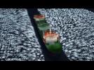 At least 54 dead, two dozen missing after Russian trawler sinks