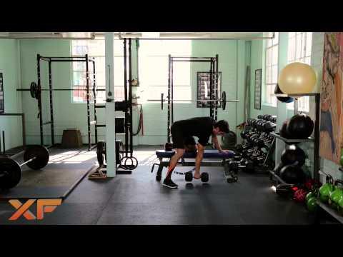 XF Chest and Back Muscle Building Program Workout 4