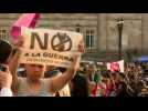 Colombians protest to demand respect for peace agreements