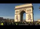 'Yellow Vest' protesters gather in Paris for 14th week
