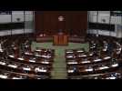 HK pro-democracy lawmakers call on Carrie Lam to step down