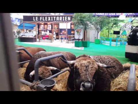 Hyperlapse : un petit tour au Salon de l'agriculture avant l'arrivée du public
