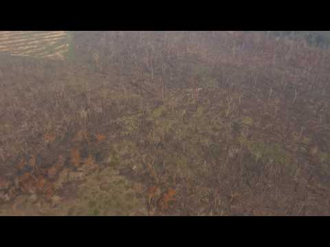 AERIAL IMAGES of burnt forest in the Brazilian Amazon