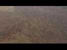 AERIAL IMAGES of burnt forest in the Brazilian Amazon