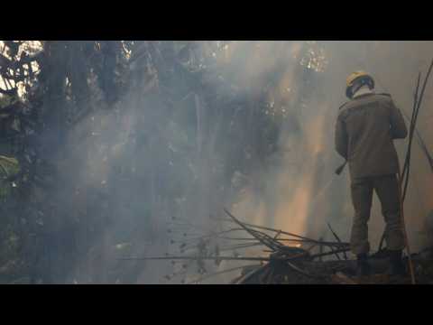 Brazil firefighters combat wildfires in Amazon forest