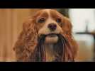 La Belle et le Clochard - Bande annonce 2 - VO - (2019)