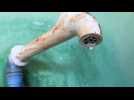 Drop - Mobile Film Festival ACT NOW on climate change