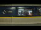Last Eurostar before Brexit leaves Paris for London