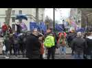 EU supporters hold small march in London as UK prepares to officially Brexit
