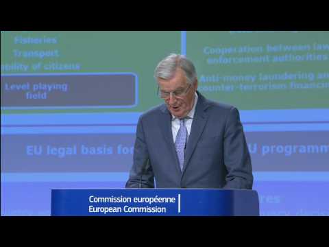 EU to offer UK 'highly ambitious trade deal': Barnier