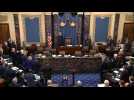 Trump impeachment trial resumes with final arguments