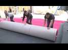 Rolling out the Oscars' red carpet ahead of Sunday's ceremony