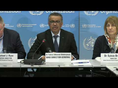 World must prepare for 'potential pandemic': WHO chief