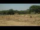 Images of a graveyard in Delhi as Covid surge hits new record in India