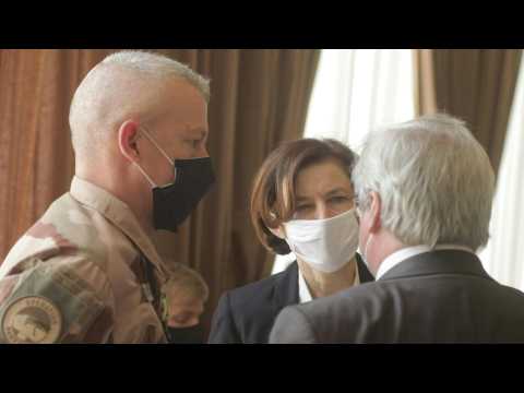 French defence minister in Mali amid controversy over French air strikes