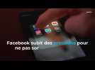 Facebook subit des pressions pour ne pas sortir la version pour enfants d'Instagram