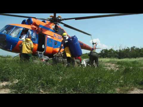 Firefighters try to save Siberian forest devastated by wildfires