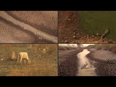 Animal carcasses lay testimony to fires raging through Brazil wetlands