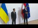 Ukrainian President Zelensky meets Austria's Kurz in Vienna