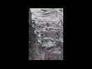 Timelapse of Planpincieux glacier moving