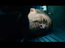 Fast & Furious 7 - Extrait 10 - VO - (2015)