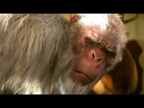 Chair de Poule - Le film - Extrait 6 - VO - (2015)