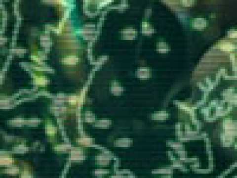 Vol 93 - Extrait 6 - VO - (2005)