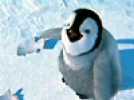 Happy Feet - Extrait 7 - VO - (2006)