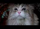 Ma vie de chat - Extrait 1 - VO - (2016)