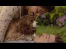 La Belle et le Clochard - Bande annonce 3 - VO - (2019)