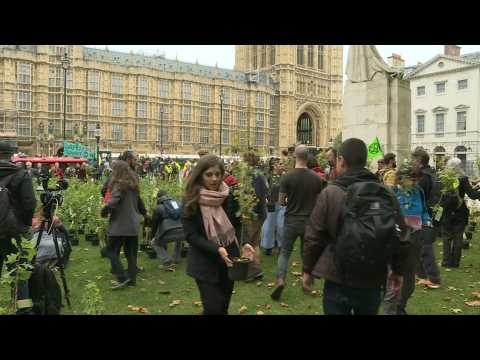 Climate activists deliver 1000 sapplings to UK Parliament
