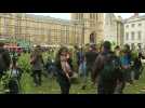 Climate activists deliver 1000 sapplings to UK Parliament