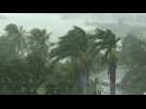 Vietnam: Strong winds and rain ahead of Typhoon Molave landfall